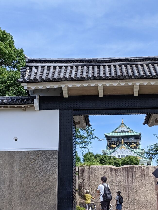 東京オリンピック開催に合わせて、関東脱出!<br />大阪に来ました。<br />ANAのスーパーセールで大阪行きがお安かったので助かりました。<br />欲張りすぎで何が撮りたいのか分からない表紙は大阪城大手門から大阪城と着陸態勢のANA機。<br />後ろの奥様が変な構図で撮ろうとしているオジサン(わたくし)を見ていた様で、『レアや!レアや!』と子供に説明してくれて居ました。<br />有難う御座います!<br />あんまり良い写真ではないと思いますがオジサンもレアや!レアや!と思って頑張って撮りました。<br />(大阪城天守閣の左側軒先の下に写っています)<br />しかし…<br />写真では、あまりにもちっちゃくて…<br />肉眼は周りと比較して映るので大きく感じますが、実際は小さくて改めて目の錯覚に驚きです。