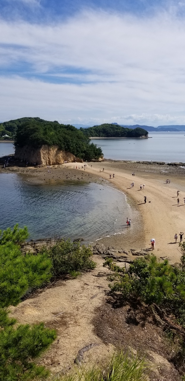 相方さんが以前仕事で香川県に行ったけど、うどんを食べる時間がなかったから食べたいという話から計画しました。<br />私の育った県は香川県の対岸の県で大人になって田舎を出るまで、お蕎麦を食べた記憶がなくて常にうどんでした。<br />香川県でうどんを食べたいのと道後温泉にも行ってみたくて松山に寄って帰りました。。