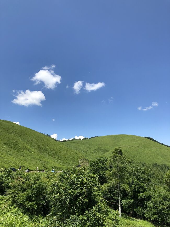 2021年7月22日、ビーナスラインをドライブしました。新緑の山々、高原の美味しい空気、爽やかな夏を満喫しました。グライダーが飛び立つ瞬間も見れてラッキーでした！