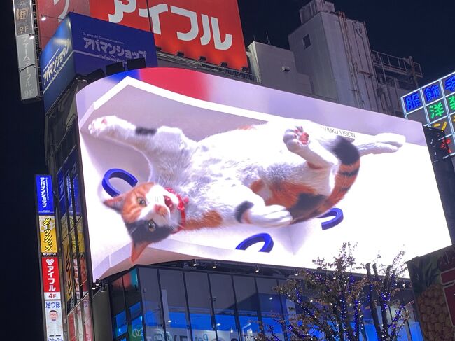 オリンピックTOKYO 2020、日本人選手の熱闘に次ぐ熱闘に心が躍る毎日<br />しかし、裏腹に首都圏では感染者数の増大<br />どうか、オリンピックが終わるまでこれ以上感染者数が増えないようにと祈る日々<br /><br />この回では、オリンピック開会式を5日後に控えた日曜日のお話<br /><br />6月の緊急事態宣言からまん延防止法に移行したのもつかの間<br />7月に入ると感染者数は増加、緊急事態宣言再発令<br />オリンピックを目の前に控え、反対派の声は日増しに大きくなってきた。<br />1964年のオリンピックが輝かしいものと記憶に残るものとしては<br />何とか、開催の方向で行けないかと祈るような日々<br /><br />そんなときに嬉しくなったニュースがふたつ<br />6月末に生まれた双子のパンダの無事成長している様子と<br />新宿に現れた巨大猫のニュース<br /><br />上野の双子パンダは当分お目にかかれないが<br />新宿の巨大猫は猫好きとしては是非とも見たいもの<br /><br />緊急事態宣言下でも新宿は人が多い場所<br />蜜を避けて<br />早朝7:00のお目覚めシーンから見てきました。<br /><br />追加<br />12月に入って久しぶりにクロスビジョンの前を通りかかったら<br />猫のパターンが変わっていました。<br /><br /><br />