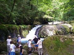 菊地渓谷で涼み、平山温泉の美肌湯を楽しむ旅～鹿央古代の森公園の古代蓮～