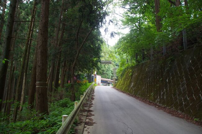 休日の７／23は、ちょっと眠かったので、朝、のんびりしましたが、汗をかくのが良いと考え、登山の準備で出掛けました。<br />高尾駅より西東京バスに乗りました。バス通りとは思えない狭い道をバスは標高328ｍまで走ってくれました。<br />10時半頃、「陣馬高原下」のバス停より歩き始めました。道路の「和田峠」を見たかったので、車道の長い登り坂を登りました。標高690ｍの和田峠は都県境のはずで、良かった。茶店が営業していました。<br />登山道の急坂を登り始めました。標高867ｍの醍醐丸（だいごまる）は八王子市、檜原村、相模原市の境であり、要衝だったのでしょう。<br />生藤山（しょうとうざん）へ向かいました。この尾根はアップダウンがとても多く、繰り返す登りでくたびれました。生藤山はこの山塊の最高点ではないようで、手前に標高1019ｍのピークが有り、茅丸（かやまる）と名付けられていました。ここが本日の最高点でした。生藤山まであと100ｍの所がそそり立つ岩場で、もー、やだ。生藤山は標高990.3ｍで、三角点が有ります。眺望は無く、ヒグラシのサラウンドが良かった。この先、縦走したかったのですが、欲張らず、下山することにしました。<br />三国山というピークへ寄りました。東京都、神奈川県、山梨県の境です。ここから相模原市側への道は緩やかな笹の道でした。<br />登山口そばの石楯尾（いわたておの）神社へお参りしました。本日のバスはとっくに終わっており、下りの道路を長々と歩きました。神奈川県相模原市から山梨県上野原市へ入り、甲州街道、中央自動車道を横切りました。スマホの地図を見ながら、崖沿いの行き方がわかりにくい上野原駅へ到着しました。18時でした。上野原で電車を20分待ちましたが、高尾からの中央特快が速かったので、ＰＭ７時55分に帰宅できました。