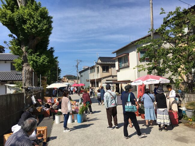 勝浦朝市は430年続いているといわれる青空市場です。早朝から地元で採れた海や山の食材が並べられ、地元住民だけでなく観光客が多く訪れる場所です。あまり観光化していない雰囲気があり、いたって地味な反面、とても風情があってまったりとして良かったです。<br />日本三大朝市って、ここ勝浦と、能登の輪島、飛騨の高山といわれていますが、八戸や函館、呼子なども有名ですが、高山を除くと漁村が多いですね。なんででしょうかね?