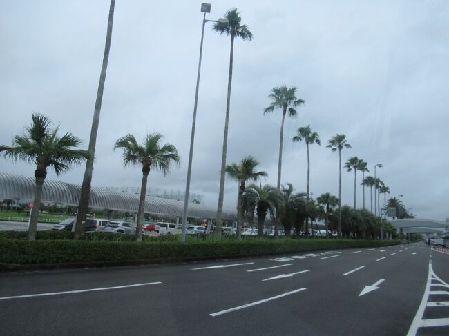 3月の秋保温泉からGWは何処へも行かず、7月の連休に家族3人で宮崎県シーガイアのシェラトン・グランデ・オーシャンリゾートに2連泊して来ました。<br /><br />最初の計画では、宮崎うどんを食べてみたくて、手っ取り早く宮崎空港の保安検査場内のショップで食べてから、直接、空港からホテルへ直行のバスで移動しようと考えてました。<br />が、例のアイツのせいでフライトが減便になったり、バスが運休になったりしているので、旅行日が近づく中、ホームページをチェック。<br />特に、我家は3人ともペーパードライバーなので空港からホテルまでの移動方法が問題。通常だったら土日祝は空港からホテルまでの直通バスがあるのだけど、当面の間運休となっていて、夏休みに再開されないか期待したけどダメでした。<br /><br />さあ、ホテルまで道中はどうなることやら。<br /><br />