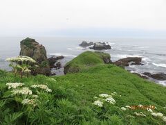 道東の旅　２日目は釧路から海沿いに岬を廻り本土最東端を目指します　夜は尾岱沼の温泉へ