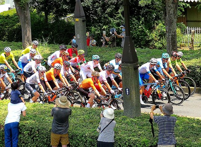 7月24日は男子、25日は女子の自転車ロードレースが開催され、ちょうど稲城市の我が家の前もコースとなり、1年以上も前から楽しみにしていた。当日はよく晴れて、絶好の自転車日和。テレビ中継もなく、初日ネットで結果を調べてもわからずじまい（二日目にNHKのサイトで知ることに）。日本からは男子、女子それぞれ2名の参加で、メダル獲得の期待がないせいか、マスコミの取り上げ方に極端な偏りがあるのには疑問が残った。ヨーロッパでは大人気のロードレースを初めて目にしたときは、自転車競技に疎い私達だったが、興奮してしまった。狭い道にあふれんばかりに走ってきたときは鳥肌ものだった。ヨーロッパ人たちが熱狂する気持ちが初めてわかった気がした。