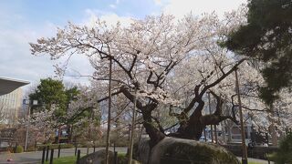 震災のあった年に初めて訪れた宮城県と岩手県に行って来ました～盛岡編～