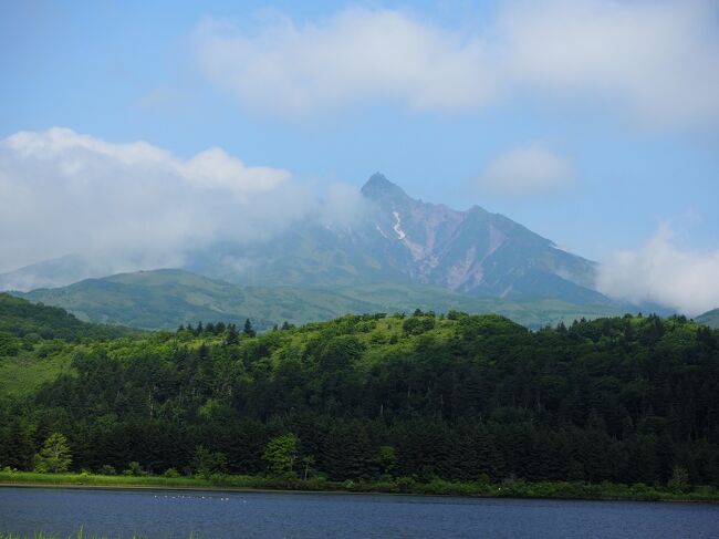 昨年9月に行こうと思っていた一人旅の利尻、礼文、稚内。<br />あの時は、礼文島が50年に1度の大雨でハイキングコースに問題が生じ、利尻、礼文、稚内すべての観光バスが運休、各路線バスの減便、とどめは羽田ー稚内のフライトが欠航。Σ( ̄□ ̄|||) さすがにキャンセル。<br /><br />でも、今年一緒に行ってくれる旅友がいて、とっても楽しい旅になりました。1年待ってよかった♪<br /><br />初日は羽田ー千歳ー利尻空港までの王道。<br />帰りはマイルで稚内ー羽田<br /><br />旅の間、利尻富士が見える度に一喜一憂してました。<br />まるでオッカケみいた(^▽^;)<br /><br />7/21 NH53羽田8:00ー千歳9:30<br /> NH4929千歳12:50ー利尻13:40<br /> <br />7/24 NH572稚内13:15ー羽田15:00<br /><br />*今回の旅行記シリーズでは、Rinちゃんの写真も使用しております。