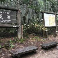 【連載】２年ぶりの尾瀬……２年ぶりの旅行[下]三日目(７月15日)は尾瀬沼から三平峠越え大清水まで