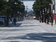 島根17　出雲-4　出雲大社前　神門通り‐勢溜‐松の参道  ☆大国さま-ウサギたち-彫像も