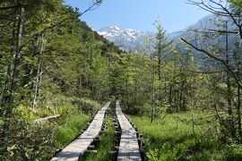 初夏の信州旅行♪　Vol.102 ☆上高地：明神池コースの優雅なハイキング　美しい清流・湿地・山岳♪