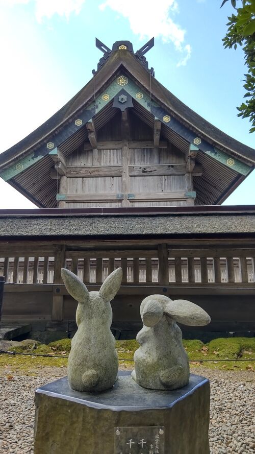 暑い夏に行ってしまった～プチトリップ 八雲立つ出雲へ～①うさぎに