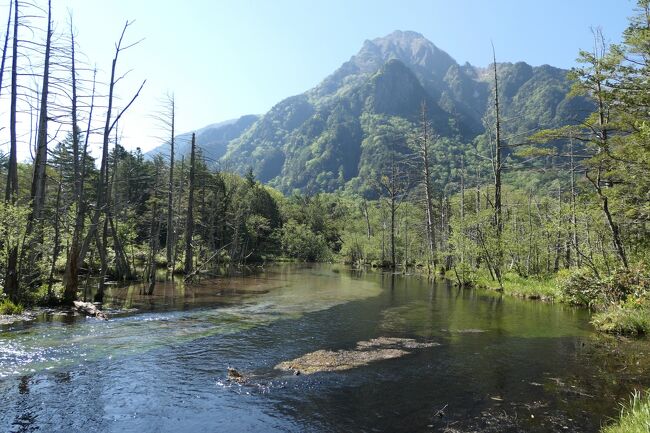 初夏の信州旅行♪　Vol.104 ☆上高地：明神池コースの優雅なハイキング　美しい清流・湿地・山岳♪