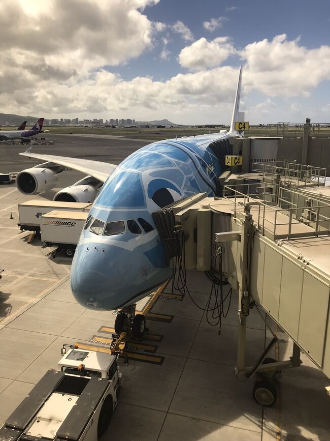 ANAがA380をホノルル線に就航させたこともきっかけの一つですが、会社の夏休みを利用して両家の母親とともにハワイ旅行に行ってきました。青い空と青い海、心身ともに陽気で楽しい旅行となりました。<br /><br />今となってはコロナが世界中の観光旅行に影響を与え、A380が飛べなくなる前に行って本当に良かったです。