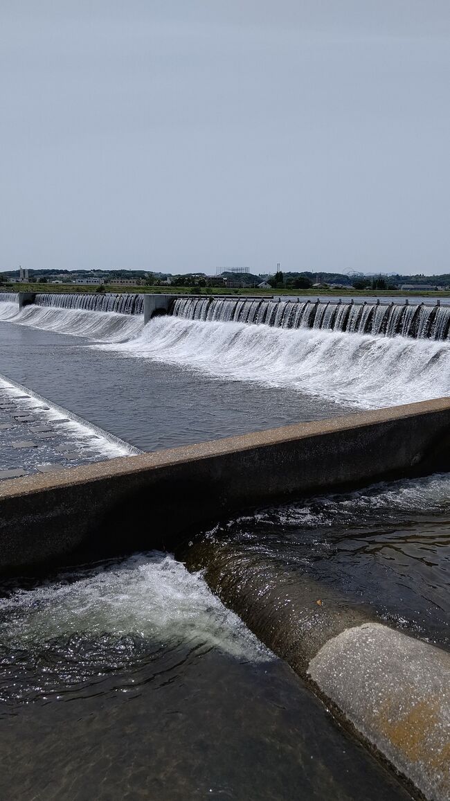 多摩川を歩いて奥多摩湖まで～２回目～