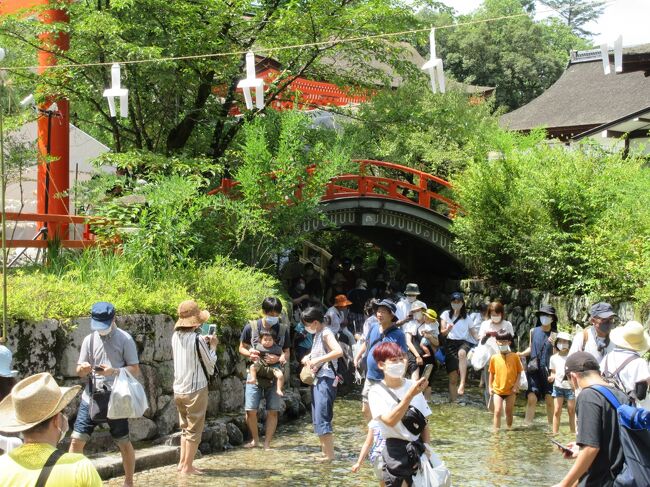 オリンピック開幕４連休を利用して、真夏の京都に出かけました。<br />いつものとおり奥さんと二人旅です夕<br />本来ならこの時期の京都は祇園祭りで大賑わいのはずですが、今年も去年に引き続き、コロナ感染拡大対策で規模を大幅に縮小し、山鉾の巡行は中止、一部の鉾を道路に停まって飾られている状態でした。<br />今回もう一つの楽しみとして、今まで行ったことがなかった下鴨神社のみたらい祭にも参加してみました。<br /><br />１日目<br />　自宅→下鴨神社（みたらし祭）→出町ふたば→上賀茂神社→北野天満宮<br />　→北野天満宮、室町通山鉾→錦市場　　（泊）ヴィアイン京都四条室町<br />２日目<br />　京都室町→京都芸術センター→二条城→自宅<br /><br /><br /><br /><br />