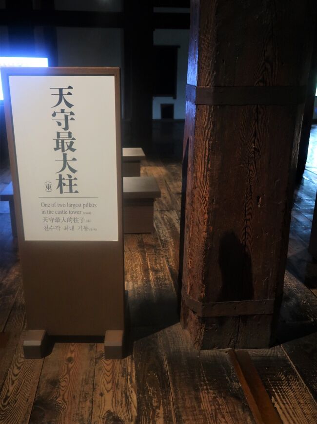 松江城（まつえじょう）は、現在の島根県松江市殿町に築かれた江戸時代の日本の城。別名・千鳥城。現存天守は国宝、城跡は国の史跡に指定されている。 <br />江戸時代には松江藩の政庁として、出雲地方の政治経済の中心であった。山陰地方で唯一の現存天守であり、国宝指定された5城のうちの一つである（他は犬山城、松本城、彦根城、姫路城）。標高29メートルの亀田山に建つ天守からは宍道湖を眺望することができる。 <br />2006年（平成18年）4月6日：日本100名城（64番）に選定された。<br />2015年（平成27年）7月8日：天守が国宝に指定された。<br /><br />松江市街の北部に位置し、南を流れる京橋川を外堀とする輪郭連郭複合式平山城である。宍道湖北側湖畔の亀田山に築かれ、日本三大湖城の一つでもある。なお、城の周りを囲む堀川は宍道湖とつながっており、薄い塩水（汽水域）である。構造は、本丸を中心に据え、北に北の丸、南に二の丸上段、東に二の丸下段、二の丸上段のさらに南には出城のように独立した三の丸が配されている。城の中心となる御殿は二の丸上段に置かれていたが、敷地が狭いため三の丸にも御殿が建てられ藩主は主にこちらで生活していたようだ。大手門は石垣のみが残るが巨大な枡形を形成しており、江戸城や大阪城に匹敵する規模である。現在、北の丸には神社、三の丸には島根県庁が建っている。 <br /><br />天守は外観4重、内部5階、地下1階で、天守の南に地下1階を持つ平屋の附櫓が付属する。形式上は望楼型天守に分類され、二重の櫓の上に二重（3階建て）の望楼を載せた形になる。二重目と四重目は東西棟の入母屋造で、二重目の南北面に入母屋破風の出窓をつけている。附櫓も入母屋造である。壁面は初重・二重目は黒塗の下見板張り、三・四重目と附櫓は上部を漆喰塗、その下を黒塗下見板張りとする。南北の出窓部分の壁は漆喰塗である。屋根はすべて本瓦葺きとする。<br />構造的には、2つの階にまたがる通し柱を多用している点が注目される。建物の中央部には地階と1階、2階と3階、4階と5階をそれぞれつなぐ通し柱があり、側柱など外側部分には1階と2階、3階と4階をつなぐ通し柱がある。 <br /><br />1・2階平面は東西12間に南北10間あり、高さは、本丸地上より約30m（天守台上よりは22.4m）ある。窓は突上窓と火灯窓あり、2階に1階屋根を貫く形で開口した石落しが8箇所あることを特徴としている。地下の井戸は城郭建築では唯一の現存例である。<br />最上階は内部に取り込まれた廻縁高欄があり、雨戸を取り付けている。鯱は、木製の銅板張で現存天守の中では最大の高さ約2m。現在の鯱は昭和の修理の際に作り直されたもので、旧鯱は別途保管展示されている。また、石垣は「牛蒡積み」といわれる崩壊しない城石垣特有の技術が使われている。 <br /><br />松江市指定文化財「松江城天守閣雛形」は、大改修を行うために作られた模型であると考えられる。国宝5城の内では唯一の雛型である。 <br />松江城の本丸は有事の際にだけ使用される「詰の丸」であり、天守は倉庫として使われていた。<br />（フリー百科事典『ウィキペディア（Wikipedia）』より引用）<br /><br />松江城　については・・<br />https://www.matsue-castle.jp/<br /><br />松江レイクバス　については・・<br />https://matsue-bus.jp/lakeline<br /><br />松江市内の観光　については・・<br />https://www.kankou-matsue.jp/