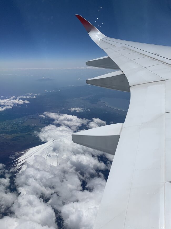 半年前から楽しみにしていたコンサートを見るため福岡に再訪しました。コロナでも旅ができるように「密回避」「静かに」「観光以外で楽しむ」を目標に行ってきました。まあいつも一人旅なので静かなんですが…<br /><br />まずは「観光以外で楽しむ」ということでA350に乗るためだけに羽田空港から出発。ちょっと飛行機レポも。根っからの旅行好きなので、こういう時こそ「fly for the sake of it=飛ぶために飛ぶ」の精神で楽しんだ1日目です。<br /><br />1.エアバス350でもつ鍋へfly for it!編 ←イマココ<br />2.麒麟がくる!古今伝授の間とガラシャ様編