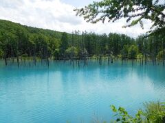 美遊バスで美瑛の定番スポットめぐり　午前　青い池、白ひげの滝、四季彩の丘
