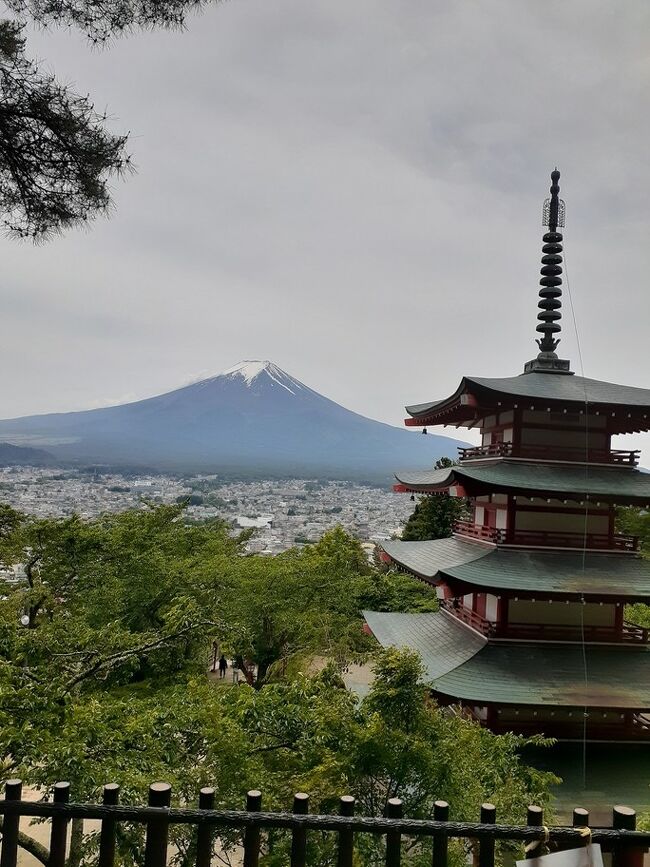 浅間神社からは石段を登っていくのは今の自分には大変で、勾配が緩くなっている車道を歩いて五重塔へ向かった。神社からは歩いて５－６分ほど、今の季節には珍しい春セミの鳴き声の中登っていくと、木陰に朱色の五重塔が見えてきた。神社と五重塔。珍しい取り合わせで、普通、五重塔と言ったらお寺が専売特許だ。自分も全国かなりの数の大小様々な神社を参詣したが、境内に五重塔乃至三重塔を見たという記憶はない。この珍しい取り合わせは、全国広しと言えど、ここ新倉浅間神社しかないだろう。<br /><br />考えてみれば各地神社には巨大な石碑で出来た忠魂碑が建立されている。どこの県にも必ず１か所の護国神社があるが、そこには必ず大きな忠魂碑が建っていて、明治以来の国に殉じた英霊が祀られている。ここ新倉浅間神社の五重塔は正式な名前は忠霊塔という名前で、各地神社にある忠魂碑同様に、英霊を祀る塔なのだ。<br /><br />真っ赤に塗られた忠霊塔。そう言えば以前安芸の宮島を訪ねた折り、厳島神社を見下ろす高台に朱塗りの五重塔があり、そこでは２０年置きに塔の塗り替えを行っていて、自分が行った時は塗り替え直後のことで、朱色が殊に鮮やかだった。明治期までは神道と仏教が一緒になった神仏習合で、この五重塔も別当寺のものだったが、今は厳島神社と一体になっているのか・・。神社の境内からはかなり離れた場所にあったが、宮島全体が厳島神社の神域とすれば、元々は神社のものだったのか・・。その後襲来した台風で、国宝の宴舞台などが水没し、神社は随分大きな被害を受けたが、あの五重塔はどうなったか・・<br /><br />五重塔の直ぐ上に撮影スポットがある。この五重塔と富士山が一つのフレームに収まって、外人にも人気の場所だ。クリスチャンの白人には神社の参拝は関係ない。神社では見かけなかった多数の欧米人がこの撮影スポットを占領し、色々な角度から写真を撮っている。混雑混乱を回避する為に、このスポットへは一方通行になっていて、出口と入り口が分けられている。丁度上野公園のパンダ館と同じで、人々を順繰りに移動させ、１か所に滞留させない為の工夫だ。上野のパンダと同じようにここは観光客に取っての人気の場所なのだ。<br /><br />その一方通行を登っていくと、前から白人が下りてきて、アメリカ人ですか？と聞くと、キューバからだ、との答え。ああ、キューバンボーイズ、とつい言ってしまったら、その中年の紳士、いや、ボーイじゃないけど、キューバ人だ、と苦笑いして通り過ぎて行った。このコロナ禍でキューバからやって来る観光客もいない。外交関係か政府関係の東京滞在者に違いない。撮影スポットはヤンキーらしい若者に占領され、色々な角度、アングルから写真を撮っている。タイ人でないのが残念だったが、それでもやはりここは日本人よりも外人に人気の場所なのだ。ヤンキーの集団が引き上げるを見計らって、自分もスポット台から、富士と五重塔の、正しく日本的なダブルショットを何枚か撮影した。