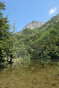 初夏の信州旅行♪　Vol.114 ☆上高地：神秘の明神池　初夏の煌めき絶景♪