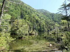 初夏の信州旅行♪　Vol.117 ☆上高地：神秘の明神池　初夏の煌めき絶景♪