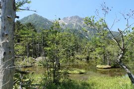 初夏の信州旅行♪　Vol.119 ☆上高地：神秘の明神池　初夏の煌めき絶景♪