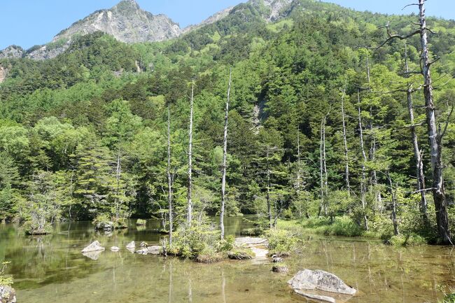 初夏の信州旅行♪　Vol.115 ☆上高地：神秘の明神池　初夏の煌めき絶景♪