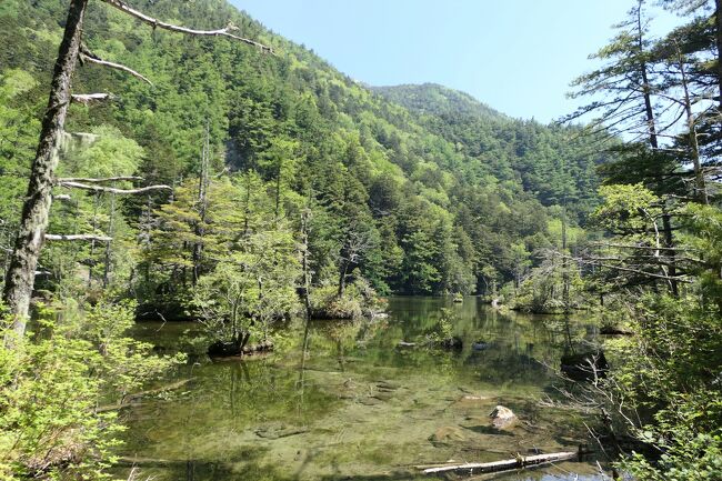 初夏の信州旅行♪　Vol.117 ☆上高地：神秘の明神池　初夏の煌めき絶景♪