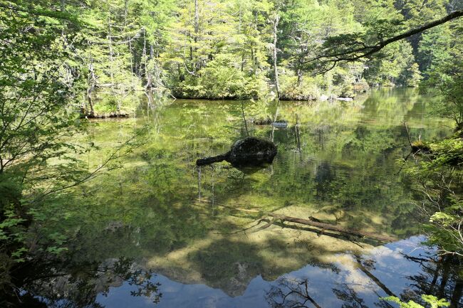 初夏の信州旅行♪　Vol.118 ☆上高地：神秘の明神池　初夏の煌めき絶景♪