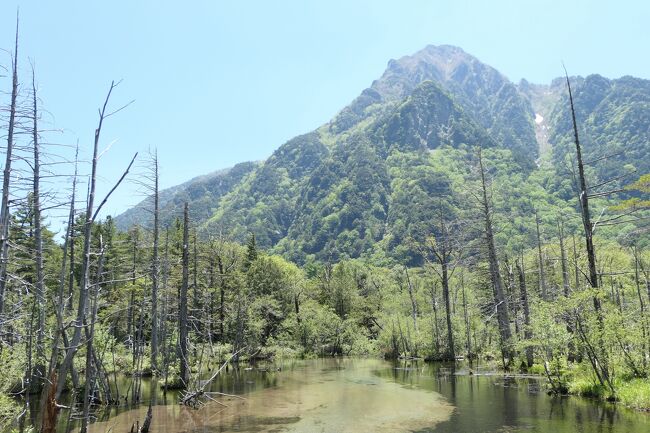 2021年6月6日-13日、信州に行きました♪<br />初夏の爽やかな山岳・高原・湖、温泉やグルメをたっぷりと楽しんできました♪<br /><br />☆Vol.123：第5日目（6月10日）上高地♪<br />今日は明神池へのハイキング。<br />上高地帝国ホテルから梓川に沿って河童橋へ歩き、<br />河童橋から梓川右岸コースで明神池への往復。<br />深い森や清流、<br />レンゲツツジが咲き始めた湿地、<br />梓川の向こうにそびえる山岳。<br /><br />穂高神社奥宮と明神池に参拝。<br />そして明神橋から絶景を楽しんだら、<br />来た道を戻って上高地帝国ホテルへ帰る。<br />明神橋を渡り、<br />梓川右岸ルートで。<br />来たときと同じように絶景が広がる。<br />今は昼時で夏のような風景。<br />ゆったりと歩いて眺めて♪