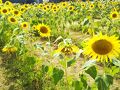 戸塚・いずみ野・港南台の旅行記