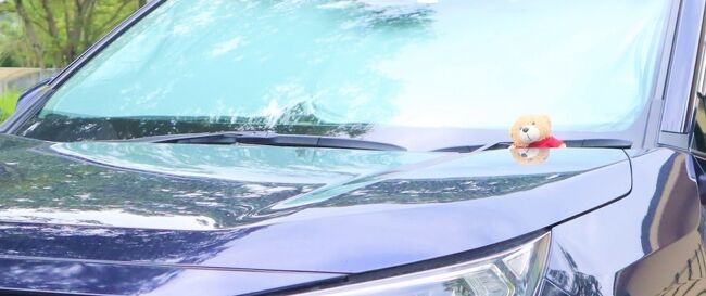 本日のオマケ♪<br /><br />私の車ではありませんlol<br />私より10日早く採用された職員くんの愛車です。<br />ちなみに、このクマそっくりの風貌をしていますlol<br />長身のリラックマの実写版とも思っています。<br /><br />部署は違いますが、私の職場から歩いて1分の出先機関に所属していて、事あるごとに泣きながら駆け込んでいる部署でもあります。<br />https://4travel.jp/travelogue/11679436<br /><br />ちなみに、6月11日もあまりに理不尽なことが平然と行われ、堪りかねて終業時間とともに例の如く飛び込んで事情を知っている女性職員さんに泣きついていました。他の職員さん達も状況は知っていると思いますが、何も言わずにいつも通りに接してくれます。<br /><br />そして最近では仕事帰りなど、隙あらばこのように撮影して遊んでいますlol<br />最近の私の貴重な息抜きです。<br /><br />7月21日(水)の夕方に会った時に<br />「最近、僕の車で何してるんですか?」<br />バレてるーーーΣΣ(゚∀゚;)ーーー!!<br />すでに私の不審な行動には感づいていたそうで、恐る恐る写真を見せたら、大きな瞳をキラキラさせて<br />「この写真、欲しいです♪下さい!」<br /><br />本人には車全体が写ったものを複数枚渡しましたが、ここでそれをupするのも…<br />なので、トリミング&色など加工した画像をupしました。<br /><br /><br />余程気に入ったのか、写真を渡した後はしばらく会うたび写真のお礼を言ってきました。<br />いつ撮られてもいいように気付けて洗車しますと言っていますlol<br /><br /><br />話は変わりますが、7月のアルペンルート+上高地の旅行記をupし終えたあとに書こうと思ったのですが、この旅行の後、休み明けの出勤して同じ部署の人たちの名前と顔をド忘れした私。<br />知り合いの医者に相談したら、ストレスによる一種の記憶喪失らしく、時間が経つと思い出すので深刻に悩まないよう言われましたが、これを直属の上司が課長に報告をあげたらしく、7月21日(水)午前に課長から呼び出しくらいました。<br /><br />上司たちは心配していると思うのですが、なぜか「もっと職場の雰囲気づくりを良くするように!」と。<br />最後は必ず説教になるのか意味不明で悶々としていましたが、この日の夕方の職員くんとのやり取りでほのぼのできました^^<br /><br />あぁ、今日も愚痴ですみません汗