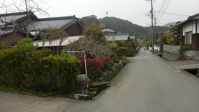 　秋月を訪れるのは学生時代以来２度目。当時から「筑前の小京都」と呼ばれてはいたが、町の記憶はあまり残っていない。今回約５０年ぶりに重伝建巡りの視点で歩いてみると、なかなか魅力的な町だった。山と川に囲まれた狭い平野部に武家、商家、寺社が程よく融合し、小さな街全体が重伝建に指定されている。折から桜吹雪が舞い、なかなか風情があった。<br /><br />**********************************************************<br />　重伝建登録地区名：朝倉市秋月<br />　分類：城下町<br />　秋月は元和９年（１６２３）に黒田長興を藩主とする秋月藩の城下町として成立し、江戸時代を通じて城下町として繁栄した。近世城下町としての町割りが原型になっており、現在も街路構成、屋敷地の地割、水路網など基本的構造が良く保持されている。また近世から近代にかけての武家屋敷や町家および寺社建築が残り、城下町らしい歴史的風致をよく伝えている。<br />　～全国伝統的建造物群保存地区協議会発行「歴史の街並み」より