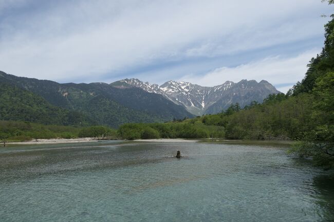 2021年6月6日-13日、信州に行きました♪<br />初夏の爽やかな山岳・高原・湖、温泉やグルメをたっぷりと楽しんできました♪<br /><br />☆Vol.144:第6日目(6月11日)上高地♪<br />今日は田代池・大正池のハイキング♪<br />上高地帝国ホテルから田代池・大正池の往復。<br />薄曇りながら、穂高連峰は雲に隠れることはなく、くっきり。<br />田代橋へ。<br />ここから見る梓川は美しい。<br />上流は穂高連峰。<br />下流は清流と新緑の森で焼岳がみえる。<br />田代池へ森林ルートである林間コース。<br />深い森の中を歩くとひっそりと咲く可憐な花。<br />時折、エゾリスが木から木へと渡り歩く。<br />猿が気まぐれに小道を横切る。<br />田代湿原に出ると咲き始めたオレンジ色のレンゲツツジや黄色のニッコウキスゲ。<br />黄緑の湿原の向こうに残雪が輝く穂高連峰。<br />田代池ではイワナの幼魚がたくさん泳く。<br />夫婦のカモたちが優雅に泳ぐ。<br />田代池から大正池へ。<br />森や草原の景色を愛でながら。<br />途中に川原に出る。<br />大正池の上流では枯れ木が立ち並ぶが、<br />一昨年の台風で多くの立木が失われ、わずか5-6本しかない。<br />それでも、水の中から枯れ木が立ち、<br />その向こうに焼岳の風景は美しい。<br />清流の上の歩道。<br />見下ろすとたくさんのカモが優雅に泳ぐ。<br />大正池に到着。<br />池の向こうにそびえる焼岳。<br />その北側に残雪が見える。<br />向かって右側の穂高連峰。<br />遠くなるが、眺めは美しい。<br />ここまでにゆったりと景色を愛でながら歩いて2時間。<br />大正池ホテルでお土産を買っていく。<br />大正池でまったりと休憩をしたら、来た道を戻り歩く。<br />田代池を経由して上高地帝国ホテルへゆったりと帰る♪
