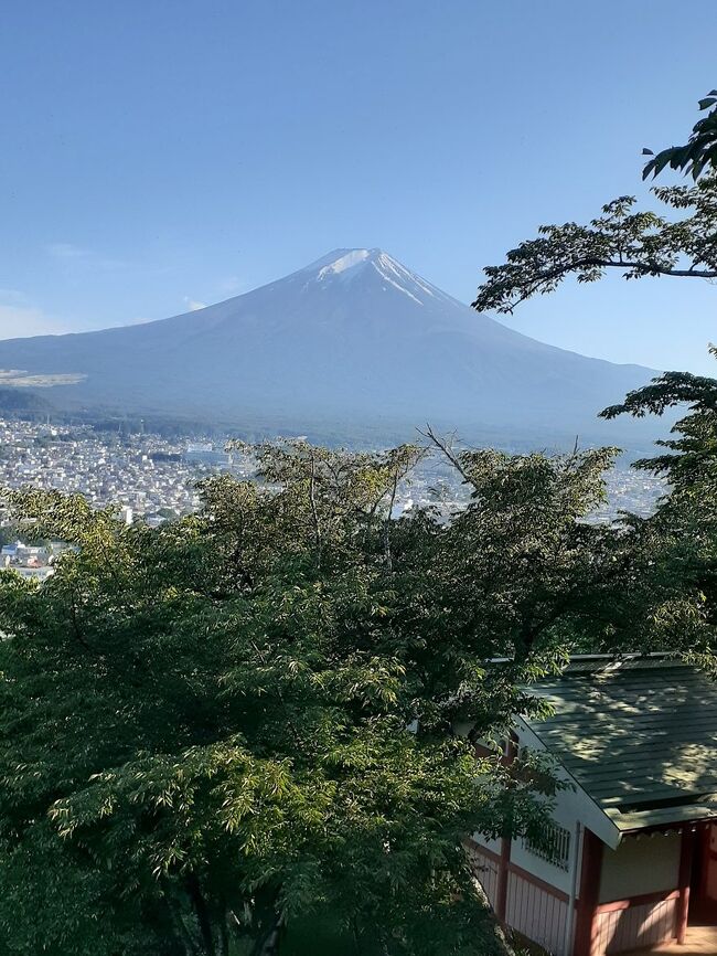 山頂には登れなかったが、良い汗をかいた。下る途中、日本語の上手なフランス女性と連れの日本人が登って来た。上手な日本語に驚いたが、日本で着物の勉強をしているとのこと。フランス人形のように可愛い女性だった。更に下ると、自分よりももっと年上の高齢者が二人、山道脇の木椅子で休んでいる。頑張ってここまで登ってきたが、もう引き返そうかと相談しているとのこと。先のフランス女性の話になって、この二人も彼女と話したとことで、日本語の上手さに舌を巻いていた。こうして日本も国際化が進んで行けば、実に良いことだ。あのお人形のようなフランス美人も日本に定着するのだろうか・・。<br /><br />蝉の鳴き声は相変わらずだ、見ると樹林帯は松林になっている。沢山の松が植えられていて、向こう側の稜線の方まで伸びている。自然林ではなさそうだ。これだけの広大な斜面に１本１本植林したのだから大変なことだったろう。松茸でも栽培しようとしたのか・・。これだけの広い面積に菌が着床できたら、今成金になること間違いない。そんな妄想しながら下っていると、目の前を図太い蛇が横切って行った。蛇の種類は分からないが胴体が太っている処を見ると、マムシではなさそうだ。里山に生息する蛇、青大将か何かは分からないが、毒はなさそうだった。しかし蛇は不思議な生体だ。それ程人口密度、いや、蛇密度は多くはないと思うが、どんな風にして相方を見つけ、合体し、生殖し、子孫を増やしていくのか・・。これだけ広い樹林帯の中で、鳥や猿のように鳴き声を出して、空を飛んだり、飛び跳ねたりすることも出来ず、ただ地面をするする走る回るだけで、どんな風にして相方を見つけるのか、全く不思議な動物だ。爬虫類は不思議な生態を持っている。<br /><br />いろいろ空想しながら歩いていると疲れも忘れる。登った時の半分の時間も掛からず展望休憩所に着いた。先に山頂に向かって登ったので、お昼は食べていなかった。元々、山に登る予定はなく、五重塔を見ながらビールでも飲んで帰る積りだった。休憩所で正面の富士を見ながらビールを飲む。汗をかいた後のビールは特に美味しい。雲が山頂に棚引いているが、よく見ると、山頂付近の斜面から水蒸気噴煙が噴き出ているようだ。それが雲のように富士山を巻いている。富岳百景。葛飾北斎は１００の景色を描いているが、富士に笠雲という絵はなかったと思う。彼は当時としてはかなり長生きで、生涯６０回以上は転居したと聞いている。富嶽百景の中には山梨側から描かれた作品が３点ある。しかし今見るこの情景は「相州梅澤左」、或いは「武州玉川」の景色に似ているか・・。<br /><br />ビールにワインまで飲んで、展望台からの下りは、登って来た時の倍以上の時間がかかり、千鳥足ではないが、老人の歩み。随分時間を掛けて下吉田駅まで降りてきた。次の富士急直通新宿行の特急まで少し時間があり、近くのコンビニで車内用のビールとワンカップを仕入れ、八王子駅で途中下車すべく大さんに再び電話するがつながらず、結局立川まで乗って下車。駅前の飲み屋を探したが、コロナ禍で、営業している赤提灯は限られている。数軒開いていたがどこも満員で、空き待ち。で、止む無く中華の店に入って、紹興酒を飲むことにした。今日は天気も良く、見事な五重塔と富士山を同時に眺められて、且つ、気持ちよい飲食もできた。良い１日だった。<br /><br />立川の中華店で飲んだ翌日、直ぐ近くの簡易ホテルで凶悪な殺人事件が起き、大きなニュースになった。１９歳の風俗の男が２０歳の同僚女性を刺し殺し、止めに入った同僚男性に重傷を負わせた。男女のもつれが原因と思われるが、感情がセーブできなかったのだ。富士吉田の新倉山展望台から雄大な富士山を眺めれば、人間の卑小さも少しは理解できると思うのだが・・。<br /><br />この時から既に２か月、コロナコロナの毎日で、テレビから流れるニュースは感染者数と自粛の要請。殆ど毎日貝のように閉じこもっている。そんな閉塞感の中、貝殻を抜け出るように、明日８月４日水曜日から根の国、紀州へ旅に出る。明日は高野山。つい先刻山登りの盟友上田兄の訃報を聞いた。自分と同年だ。池江さんと同じように悪性リンパ腫に罹ったが、毎日リハビリをし、回復しつつあると思っていた。去年は四国８８ケ寺で彼の病気回復を祈念し、帰ってきてから電話してやった。元気に思えたが還らぬ人となった。明日は高野山奥の院で有縁の霊と一緒に彼の新霊を送ってやろう。