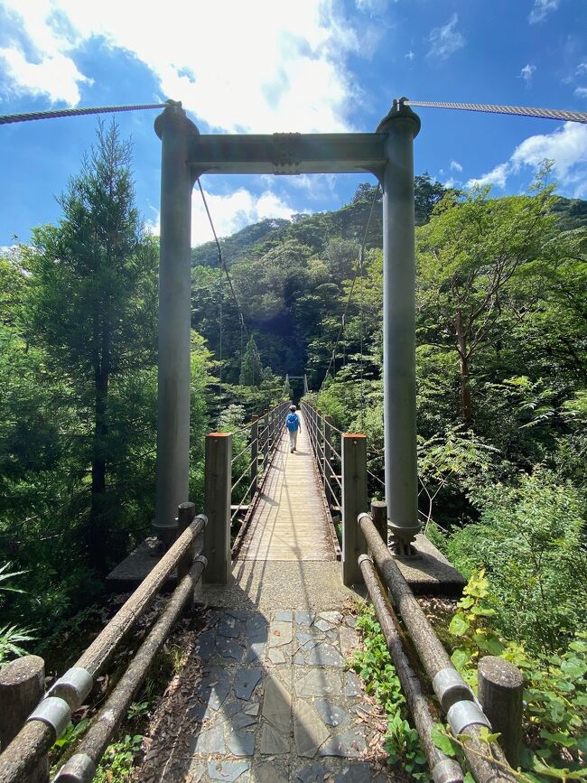 ひさびさの旅行記です。<br /><br />息子は小学2年生の夏休み。東京は度重なる緊急事態宣言で年初から国内旅行も控えていましたが、夏になんとか1か所だけ行きたい!と6月中旬に旅先リサーチ。テーマは「夏休みっぽい場所」。いずれも行ったことない四万十川か屋久島に絞り込み、最後は息子に選んでもらって屋久島に決定。航空券+宿泊「ANAトラベラーズダイナミックパッケージ」で羽田・鹿児島間の往復航空券と屋久島いわさきホテル2食つき2泊を押さえました。<br /><br />3日間の予定でしたが、コロナの煽りか予約した行きの便が欠航して屋久島行きの船に間に合わなくなりました。しかし、図らずも往路復路ともに変更可能になったことで(夫Yが)出発を丸一日前倒しする決意ができ、鹿児島での前泊を別で手配して余裕のある旅程になりました。<br /><br />時期は非常にタイミングわるく、毎日東京の感染者が過去最高を更新し続けていました。私は2回、夫Yは1回のワクチン接種を終えていましたが、旅行のことは後ろめたくて誰にも言えませんでした・・・。<br /><br />私は車を持たないペーパードライバーですが、島での移動は迷わずレンタカー。夫Yと息子はこわかったかもしれません。島のドライバーのみなさんは飛ばすこともなく穏やかで安心して運転でき、事故らずに帰ってきました。<br /><br />~Day3~<br /><br />屋久島の中日、行き先は白谷雲水峡です。<br /><br />屋久島といえば縄文杉ですが、旅行を計画するまで縄文杉はどのようにアクセスするのかまったく知りませんでした。早朝の出発、往復10時間の厳しい行程に長期の引きこもり生活でなまった体が耐えられるか、7歳の子どもを叱咤激励しながら歩かせ続けられるかどうにも自信がなかったので、縄文杉はすっぱりあきらめて白谷雲水峡を観光のメインとしました。<br /><br />コースは縄文杉ほど長くはないので、なんとか終着地の太鼓岩まで行きたかったのですが、途中で息子が早く帰りたいとごねたため、苔むす森まできたところで引き返しました。このトレッキングのために靴や登山グッズを買ったのに山の途中で下りることになってあまり達成感のないまま白谷雲水峡をあとにしました。<br /><br />雨が多いと言われる屋久島滞在中、一度も雨が降らず天気は最高でした。