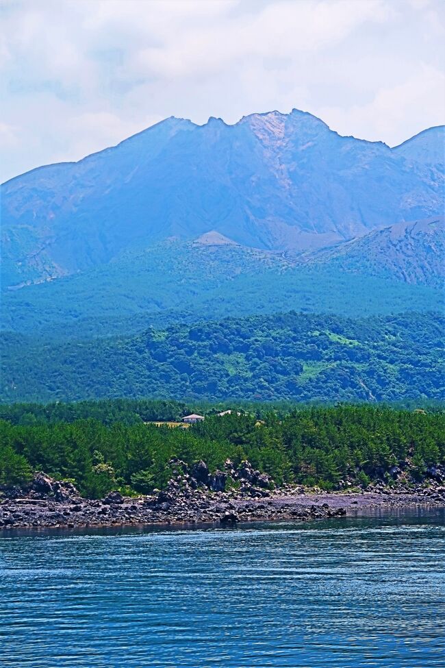 平成23年3月10日から本格運航を開始した「よりみちクルーズ」は、桜島と錦江湾の魅力を海上から約50分間で身近に楽しめる毎日運航の「プチクルーズ」として、桜島を訪れる観光客や外国人に大好評です。<br /><br />ふだんの定期航路とは異なるコースで、海に浮かぶ神瀬（かんぜ）灯標・沖小島（おこがしま）や大正溶岩原のほか、条件が整えば、鹿児島県本土の3大火山である桜島、霧島、開聞岳を眺望でき、また錦江湾に生息するイルカ（ミナミバンドウイルカ、ハセイルカ）に出会える可能性もあります。<br />あなたも車窓からでは決して見られない霧島錦江湾国立公園の海域公園・桜島錦江湾ジオパークや観光・港湾都市「鹿児島」の新たな魅力を発見してみませんか。（下記より引用）<br /><br />桜島フェリー　　については・・<br />https://www.city.kagoshima.lg.jp/sakurajima-ferry/<br /><br />CUTE（きゅーと）　については・・<br />https://www.kagoshima-yokanavi.jp/article/one-day-pass<br /><br />