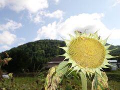 一日目　洞爺湖　ニセコアンヌプリ