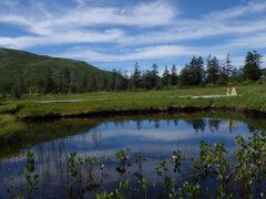 ニセコ神仙沼　小樽天狗山満天の星