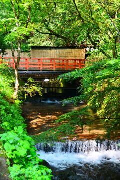 ”京都”の夏を遊ぶ...夏を奏でる青もみじと涼の音色を求めて(前編)