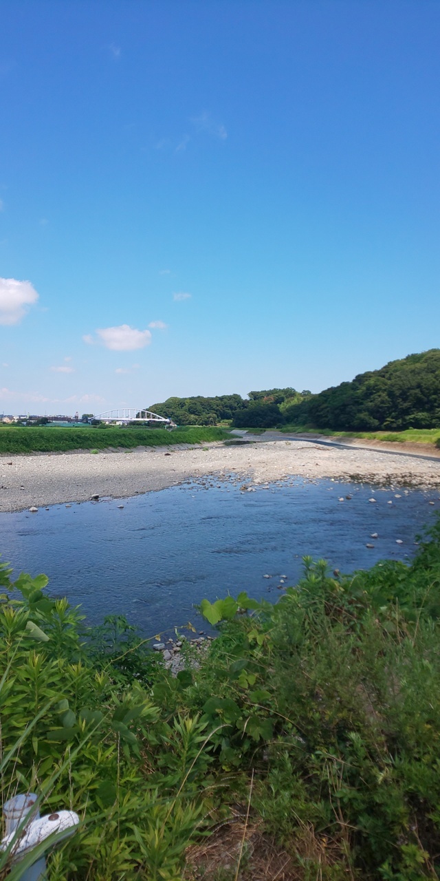 ちょくちょく行っている平塚の花菜ガーデンから川伝いに上っていくとところどころ川遊びが出来そうな河原があります。<br />今回はサンシェードと水遊び装備を持ってやってきました。<br /><br />