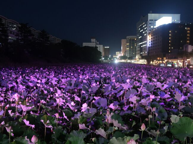 デパートついでに竿燈まつり&#x1f3ee;でも中止(*_*)