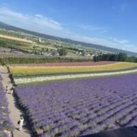 夏の北海道　道央周遊４泊5日③