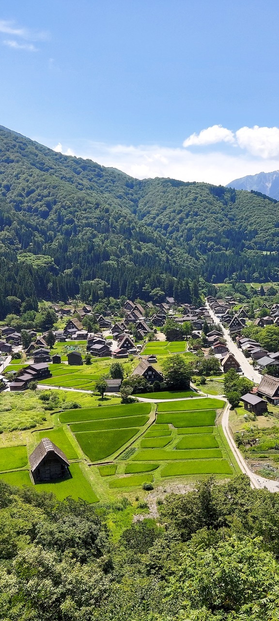 岐阜旅行2日目は白川郷に向かいます。<br />今日は白川郷へ向かいます。日本昔話に出てくるような日本の原風景。 <br />城山展望台からのこの風景は絶景です。