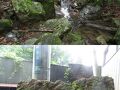 青梅の旅行記