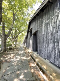 東北を巡るひとり旅⑦ 秋田→酒田→新潟