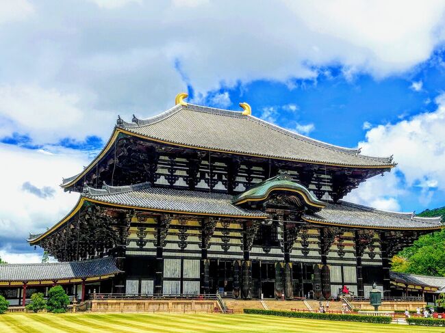 世界遺産『古都奈良の文化財』を、徒歩中心でどの程度廻ることができるか?挑戦してみました(^^)<br /><br />『古都奈良の文化財』は、東大寺、興福寺、春日大社、元興寺、薬師寺、唐招提寺、平城宮跡、春日山原始林の8資産で構成されていますが、春日山原始林は時間的に難しそうだから、それ以外の7資産を制覇しようと思います(^^)<br /><br />8月初旬の夏真っ盛りで、今回の日帰り旅行も歩数稼ぎが目的の半分だったし、中々ハードでしたよw<br /><br />この日の総歩数は、26,284歩でしたヽ(^。^)ノ