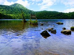 青い池に浮島の高層湿原「志賀高原池巡りハイキング」