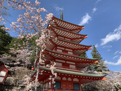 箱根から桜咲く新倉山浅間公園へ